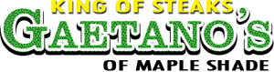 Website Logo